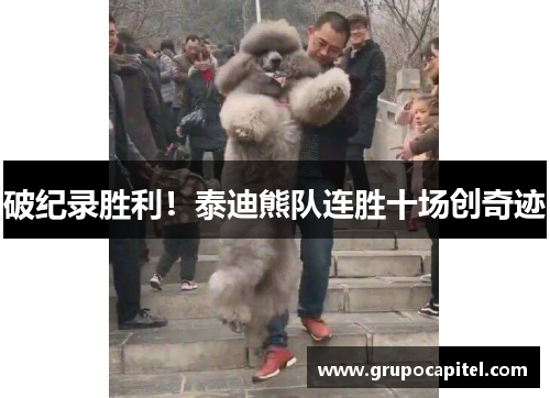 破纪录胜利！泰迪熊队连胜十场创奇迹