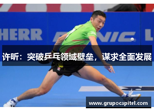 许昕：突破乒乓领域壁垒，谋求全面发展