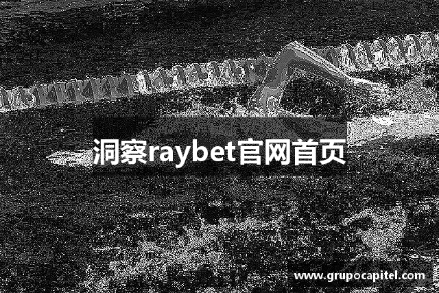 洞察raybet官网首页